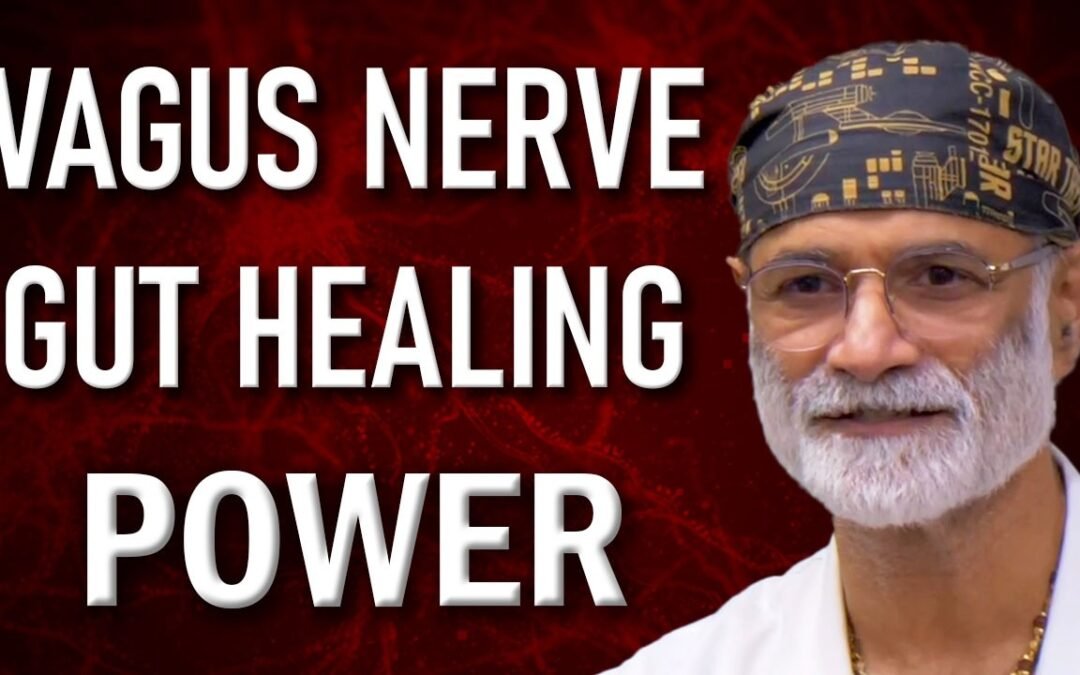 How the Vagus Nerve Heals Your Gut: The Key to Digestive Health and Healing