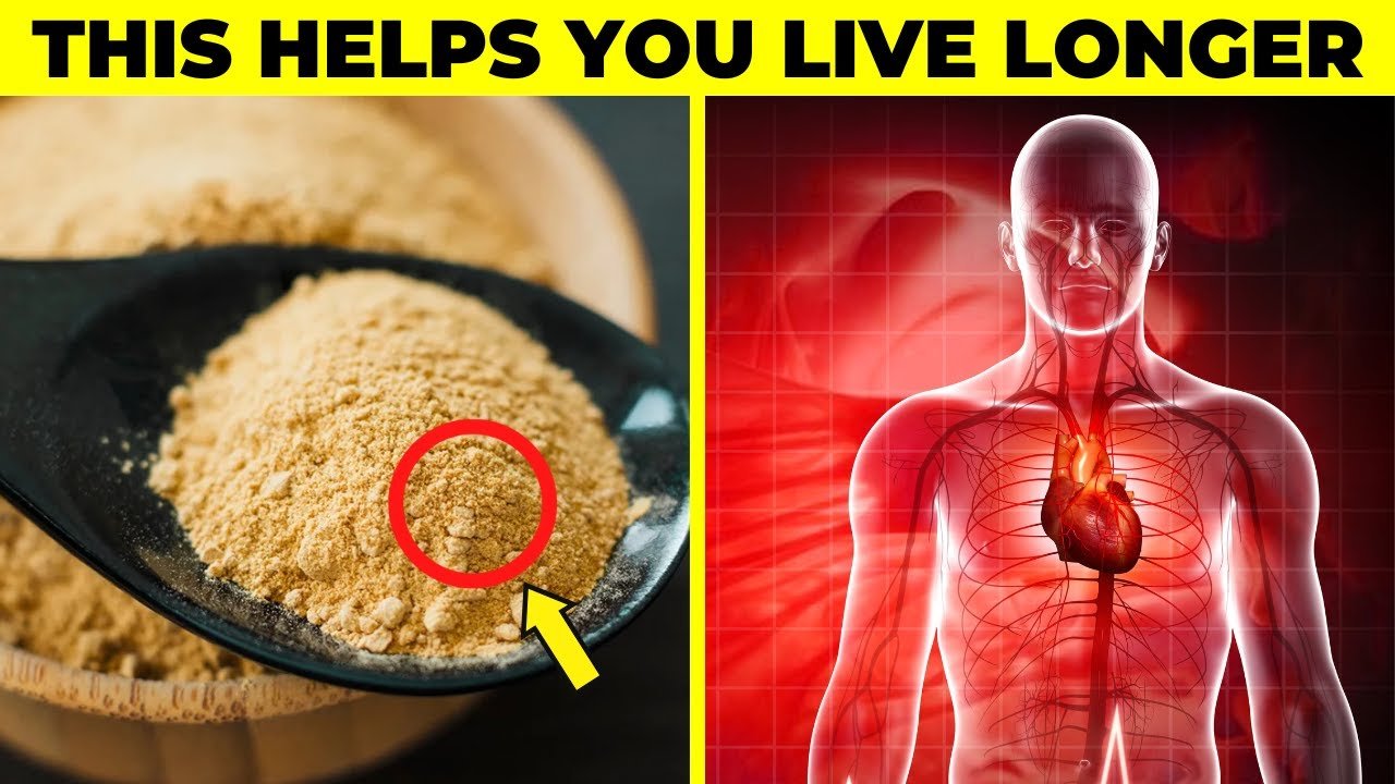 Top Superfood Powders Packed with Essential Vitamins and Nutrients