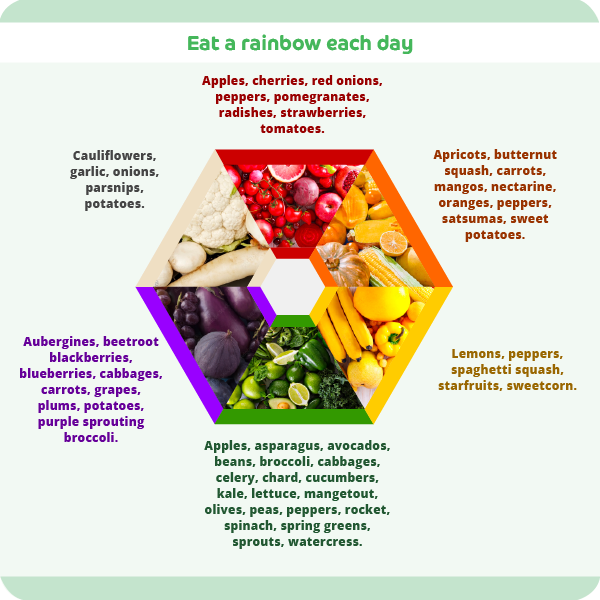 The Balanced Diet Life: What It Really Means and Why It Matters