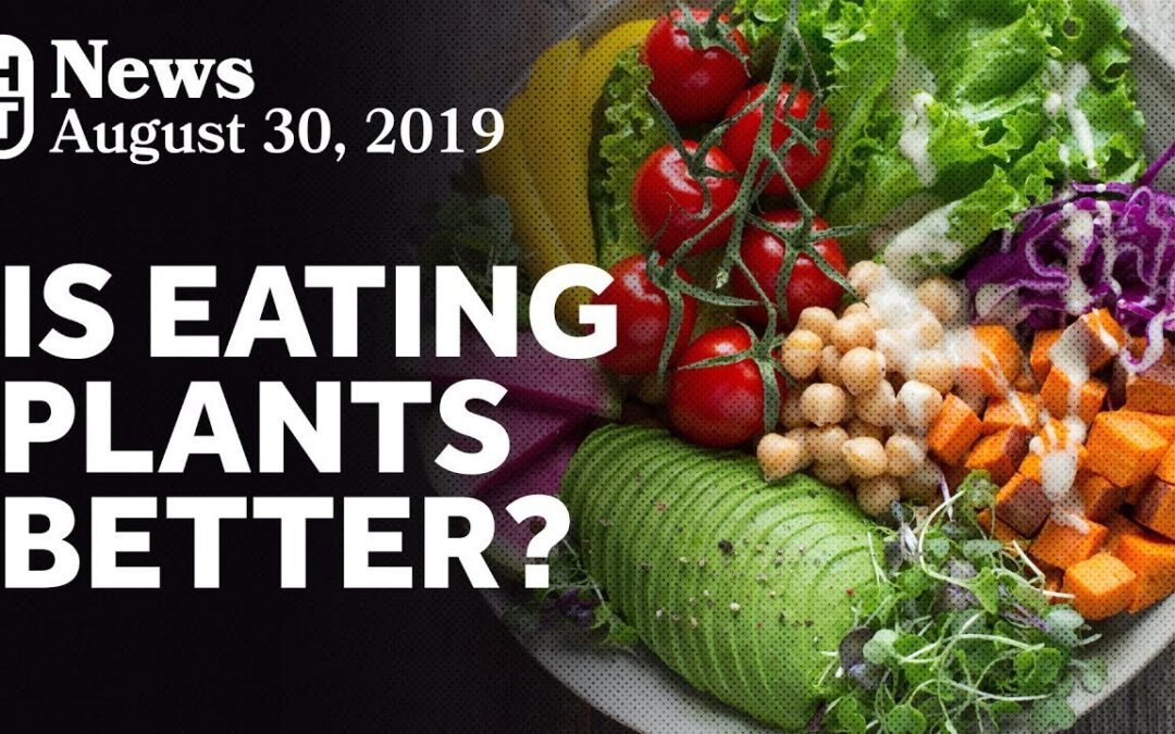 New Research On Plant-Based Diets and Mortality