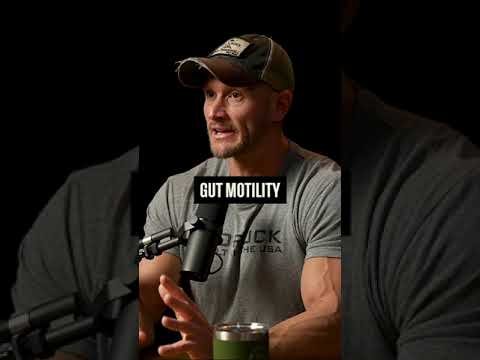 How Fasting Affects Gut Health | Thomas DeLauer
