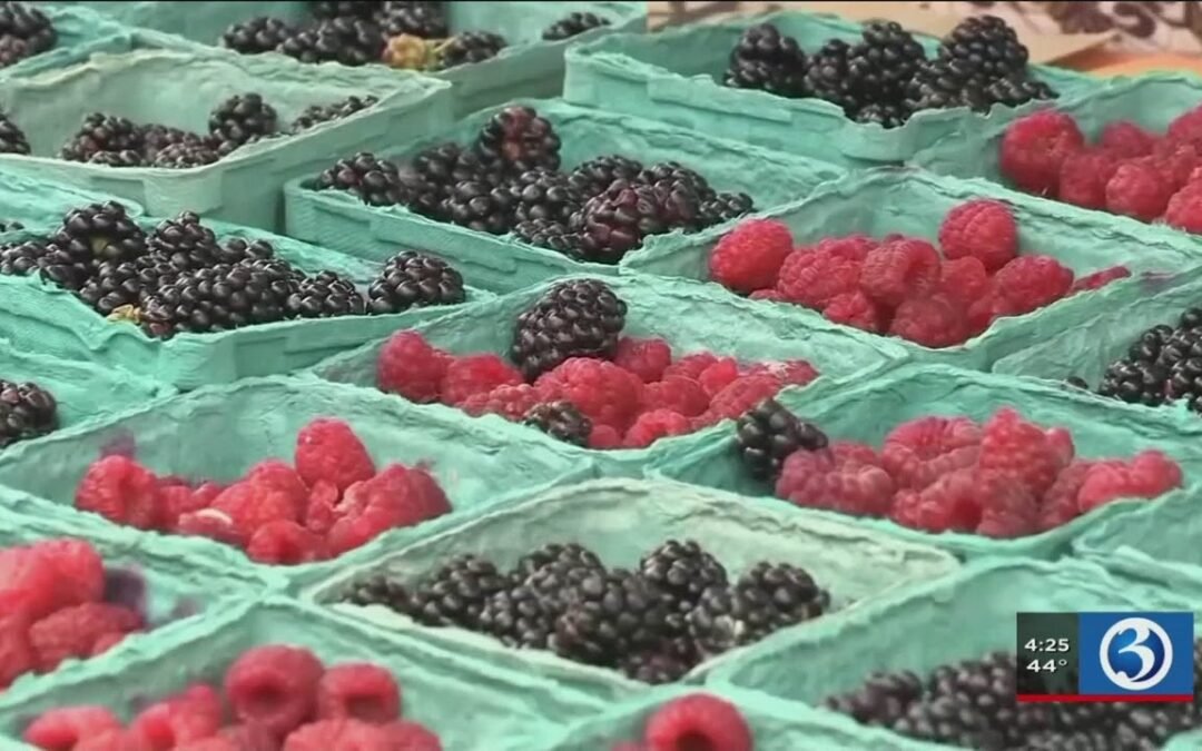 Wellness Wednesday: Food and mental health