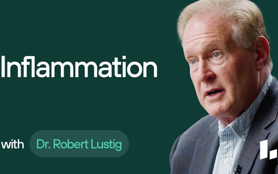What Are Anti-Inflammatory Foods & Why Are They Crucial for Health? | Dr. Rob Lustig Ultimate Guide