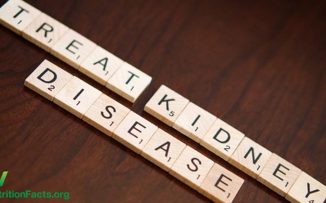 Treating Chronic Kidney Disease with Food