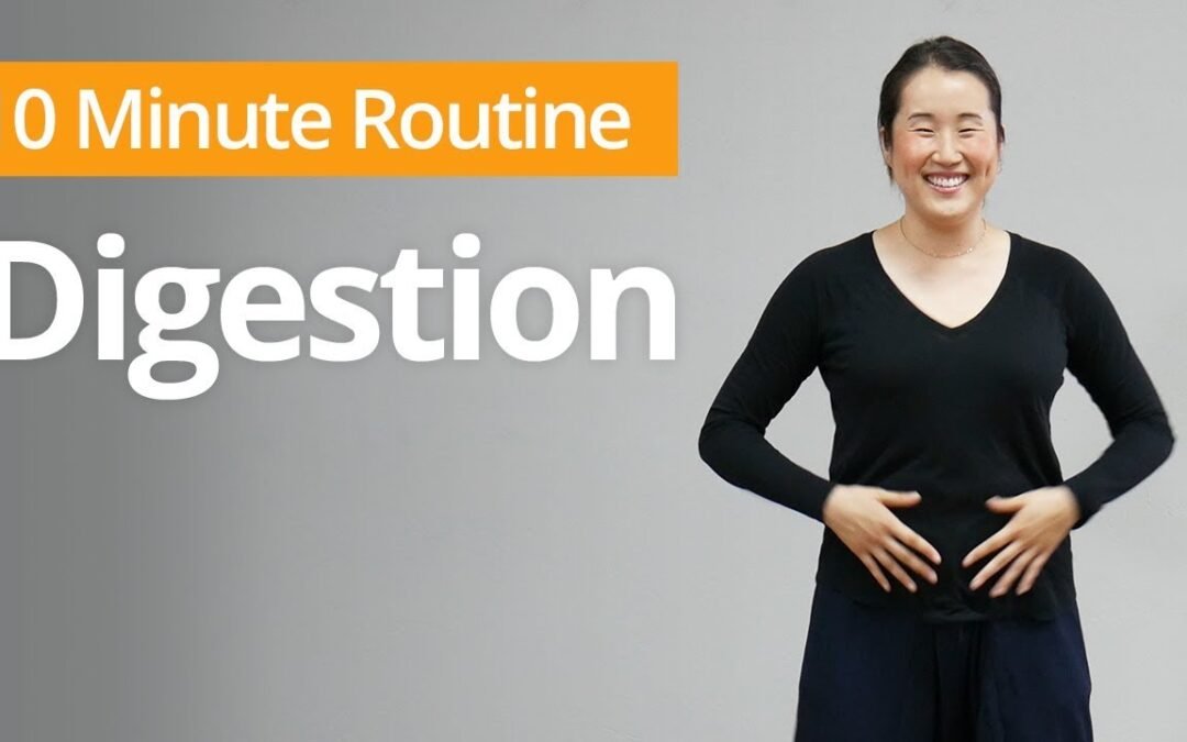 DIGESTIVE SUPPORT Exercises | 10 Minute Daily Routines