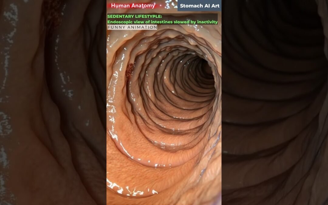 Intestines Slowed by Sitting Long Hours Animation | Gut Health | Human Anatomy | Stomach AI Art | 08