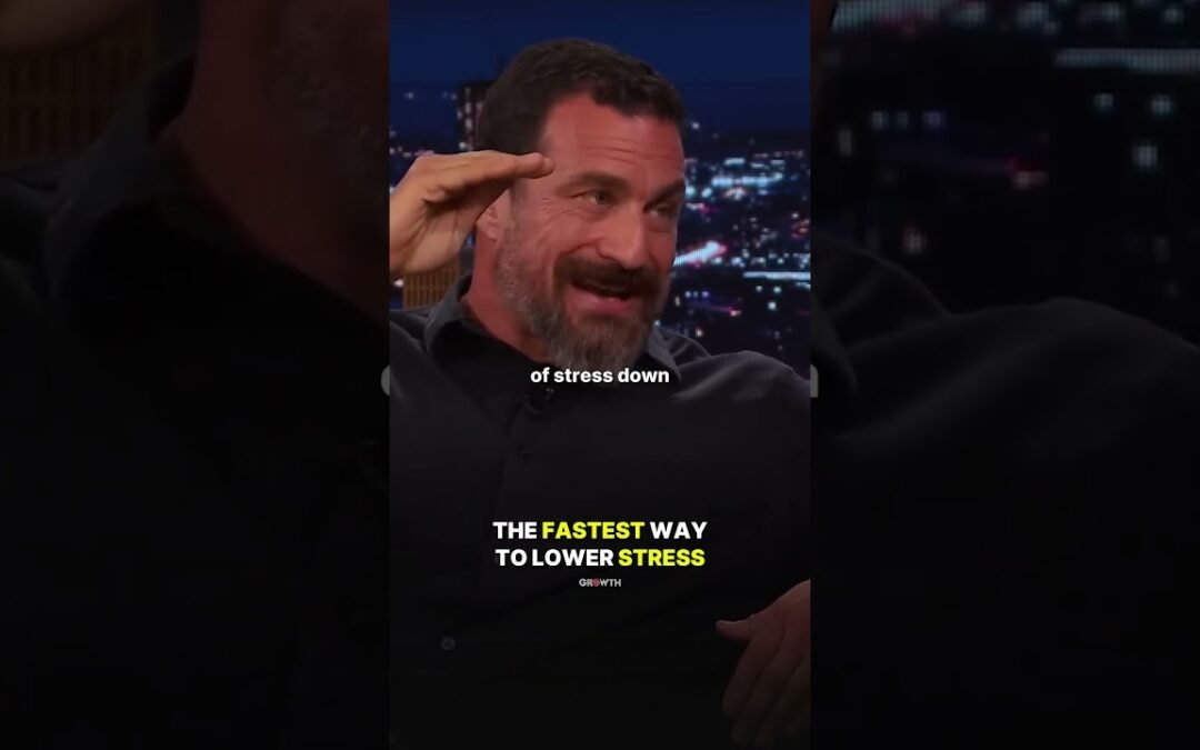 The FASTEST Way to Lower STRESS.
