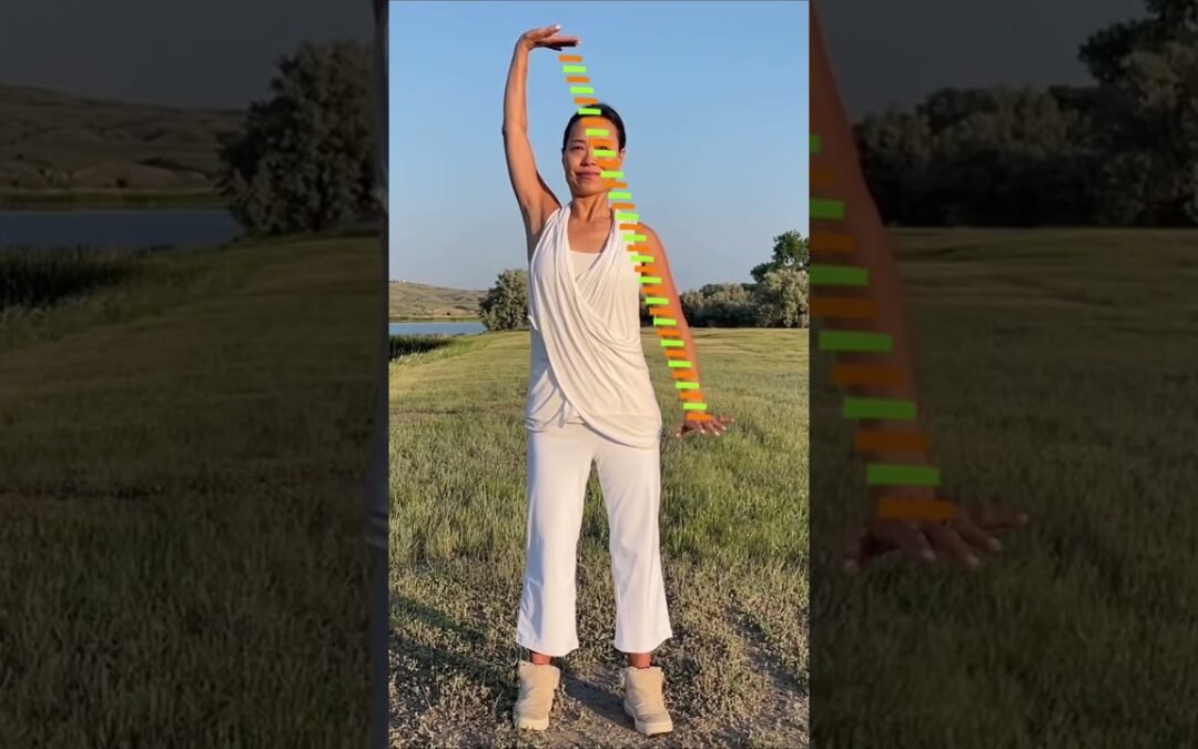 QIGONG FOR BETTER DIGESTION / GUT HEALTH #holistichealth #digestion #qigong #guthealth