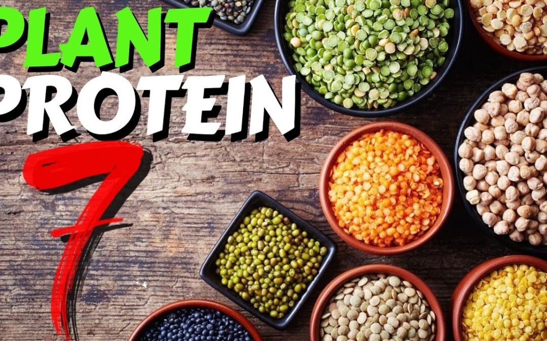 Top 7 Sources of Plant Protein