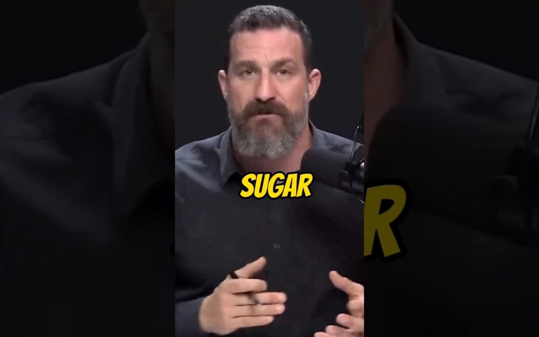 Foods that improve the health of the gut microbiome l Dr. Andrew Huberman