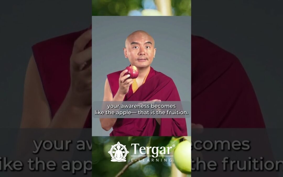 Growing Your Awareness with Yongey Mingyur Rinpoche