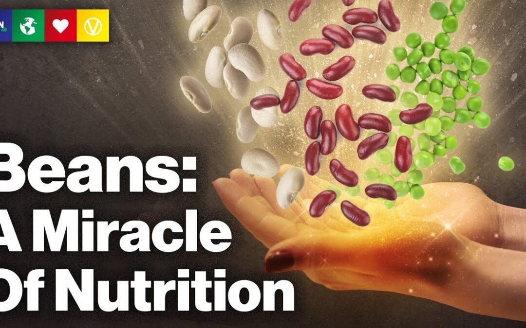 Beans – A Miracle Of Nutrition