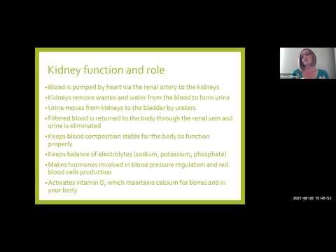 Chronic Kidney Disease & Nutrition (Week 1) – Kidney Health, CKD, and Nutrition Therapy Overview