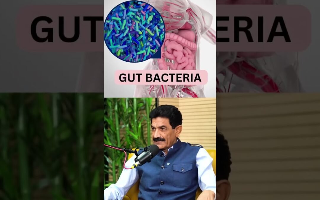 Your gut and brain are in constant communication | Ram Verma NLP Man of India Since 1993
