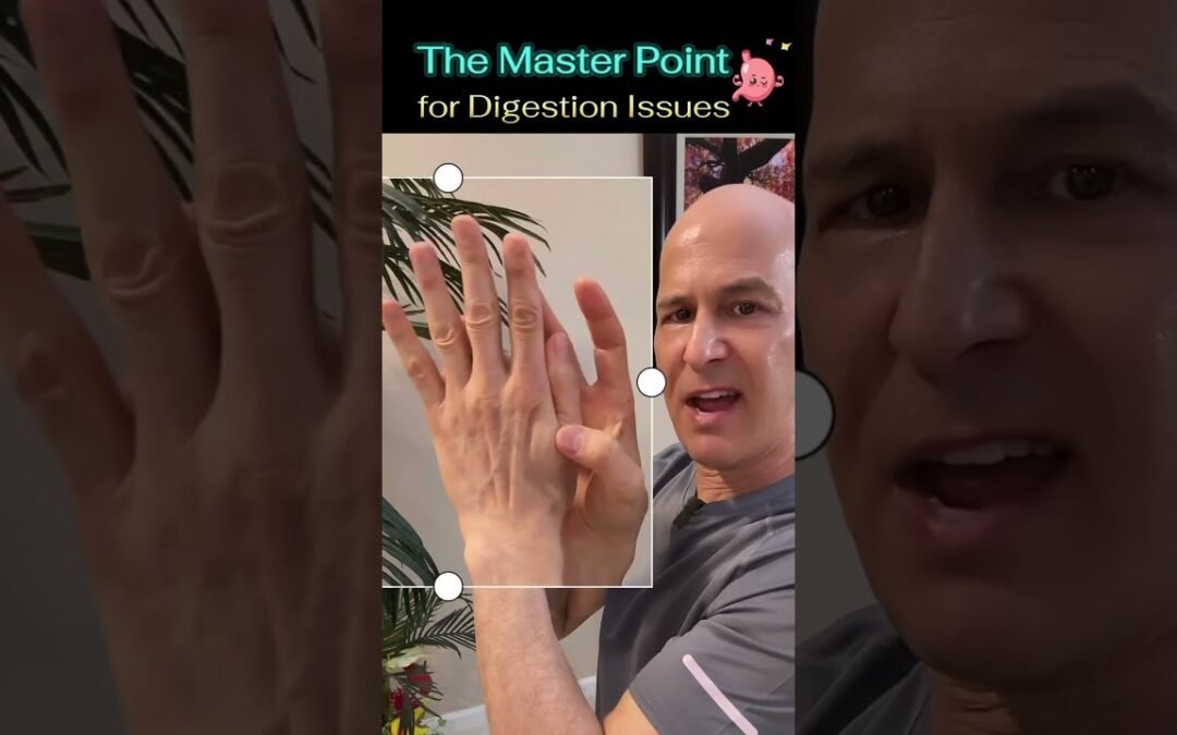 The Master Point for Digestion Issues!  Dr. Mandell